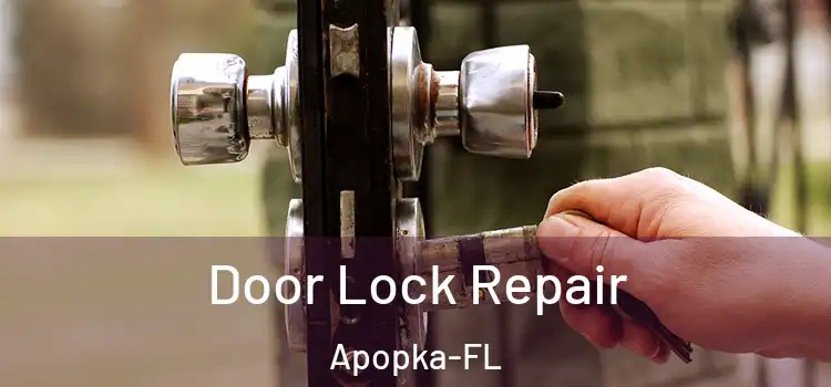 Door Lock Repair Apopka-FL