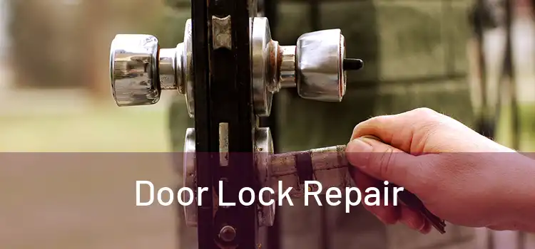 Door Lock Repair