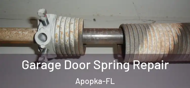 Garage Door Spring Repair Apopka-FL