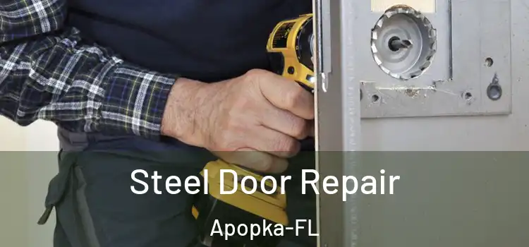 Steel Door Repair Apopka-FL